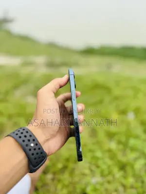Apple iPhone 12 Pro Max 512 GB Blue