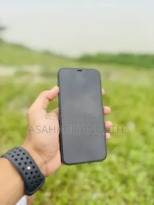 Apple iPhone 12 Pro Max 512 GB Blue