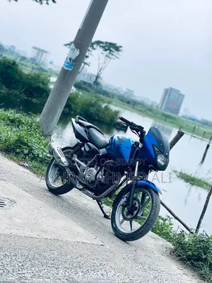 Bajaj Pulsar 150 2013 Blue