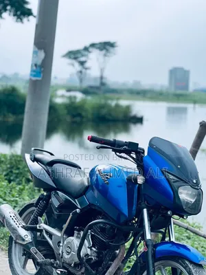 Bajaj Pulsar 150 2013 Blue