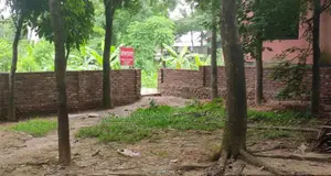 দর্জি বাড়ি পূর্বাচল সংলগ্ন ৮ শতক জমি | Owner Sale | শতাংশ ১২.৫ লক্ষ
