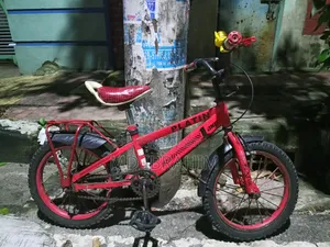Small Children's Bicycle