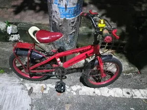 ছোট্ট বাচ্চাদের সাইকেল