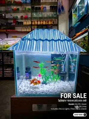 Complete aquarium package for only Taka
