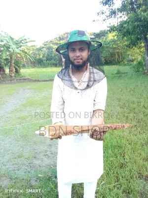 Directly harvested pure honey