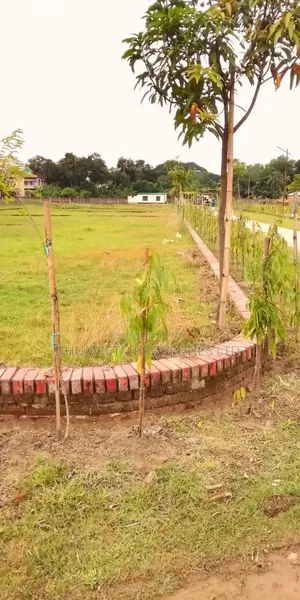NISHORGO-3 Land Share for Sale