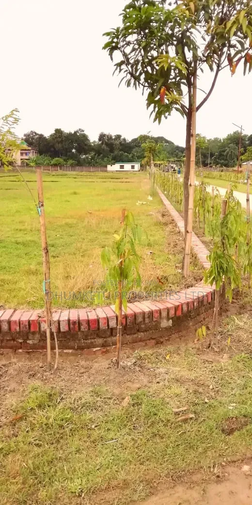 NISHORGO-3 Land Share for Sale