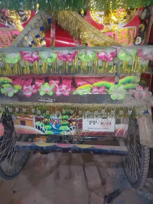 Rickshaw for Sale