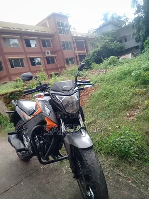 Honda Hornet 2019 Gray