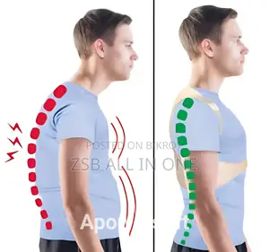 Royal Posture Back Support for mild back pain or spinal discomfort