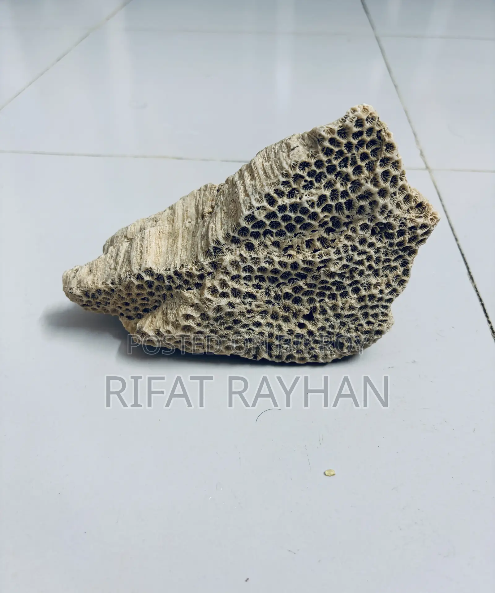 Aquarium Decoration Stone