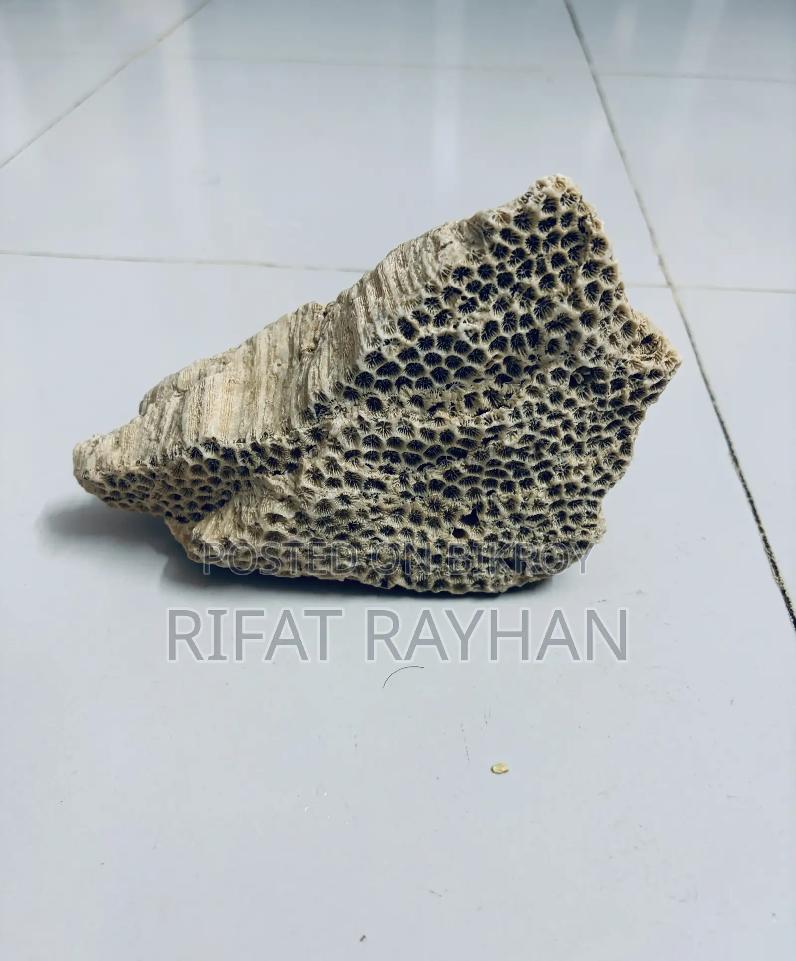 Aquarium Decoration Stone