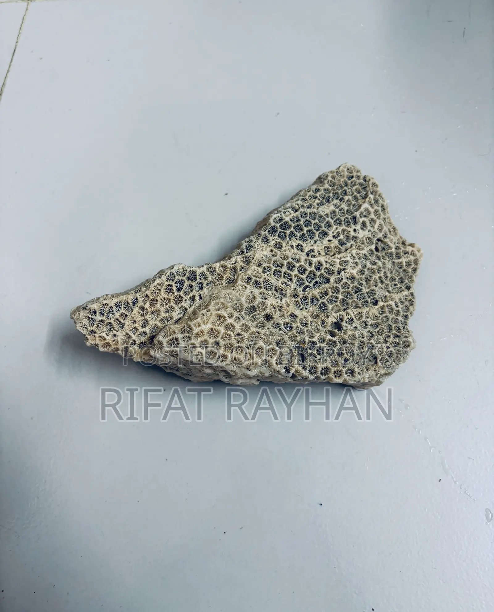 Aquarium Decoration Stone