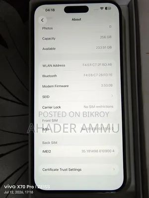 Apple iPhone 15 Pro Max 256 GB Silver
