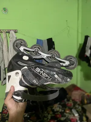 Skating Shows