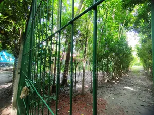 বান্দুরা দেওতলা