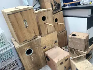 মোটা কাঠের স্পেশাল নেস্ট বক্স