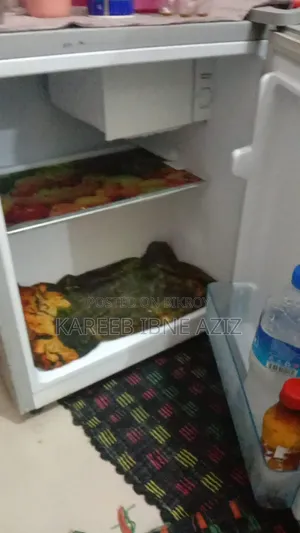 ভিশন ৫০ লিটার কমপ্যাক্ট মিনি ফ্রিজ Re-50l Ss