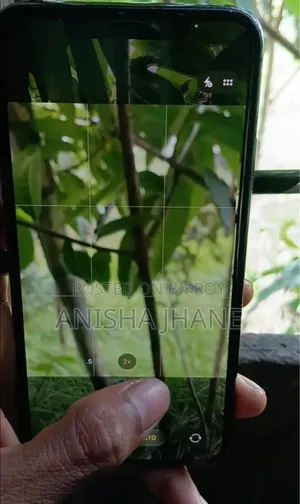 Apple iPhone 11 Pro Max 256 GB