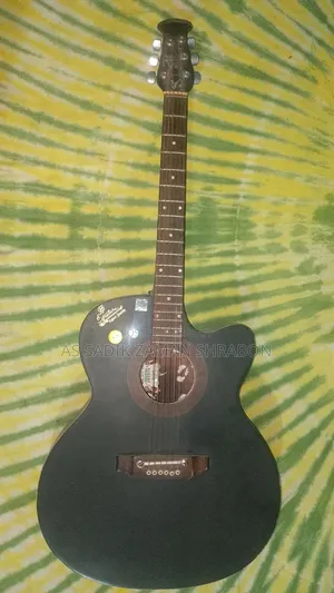 সিগনেচার গিটার