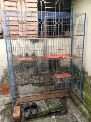 কবুতরের খাঁচা