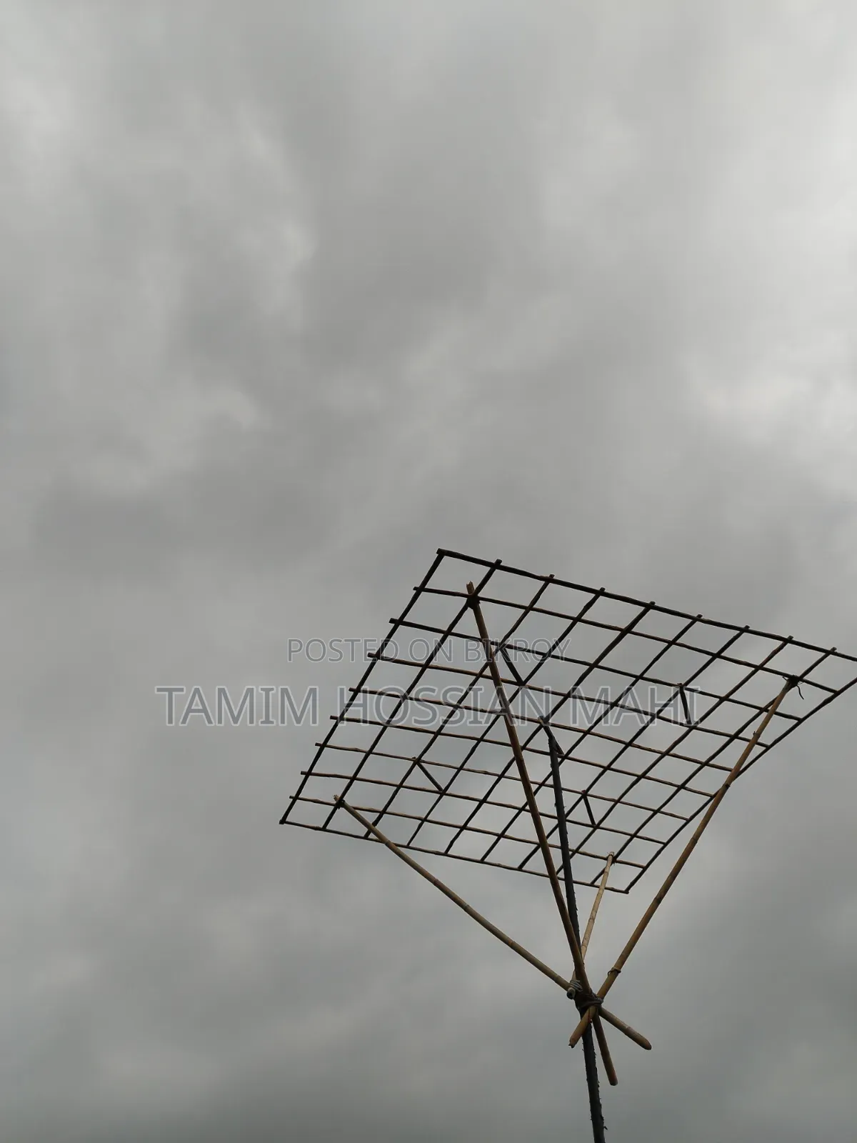 কবুতরের বাম বিক্রি করা হবে