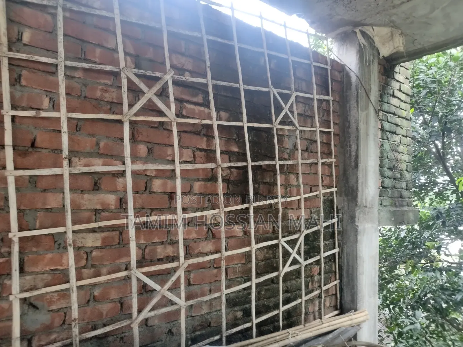 কবুতরের বাম বিক্রি করা হবে