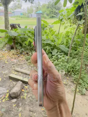 Vivo X200 Pro 256 GB Silver