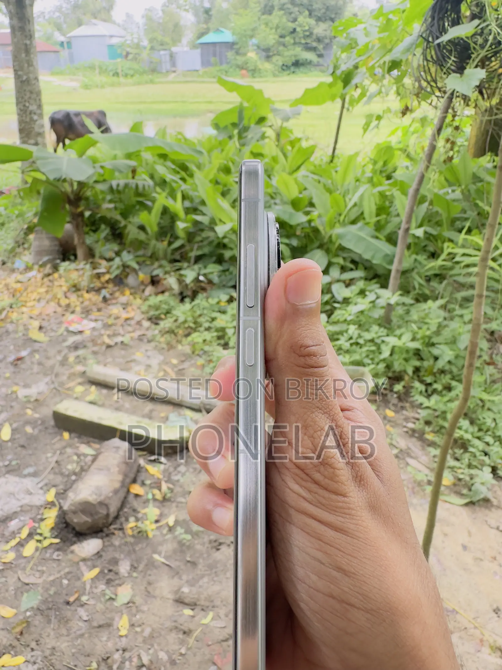 Vivo X200 Pro 256 GB Silver