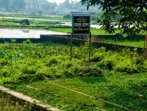 FALCON HEIGHTS Land Share Project