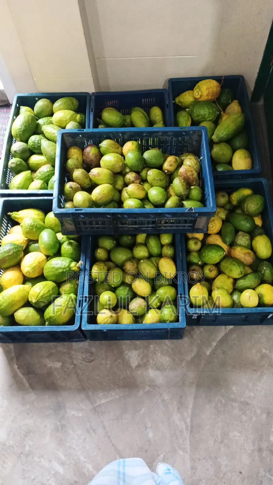 Lemon's Zara and Seed Less