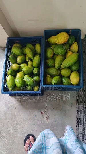 Lemon's Zara and Seed Less