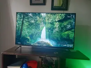 Singer 32" TV