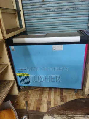 WCG-2g0-CGXX-Xx Ice Cream Fridge