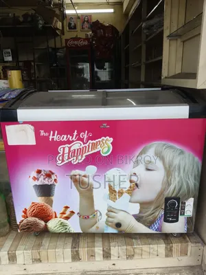 WCG-2g0-CGXX-Xx Ice Cream Fridge