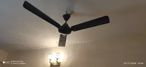 Walton 56" Fan Navy Blue
