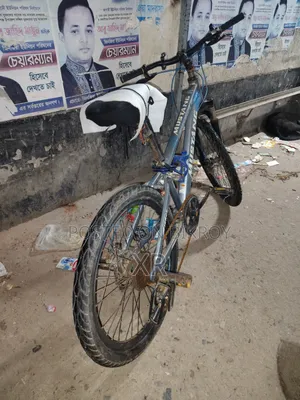 সাইকেল টা বিক্রি করে দিবো