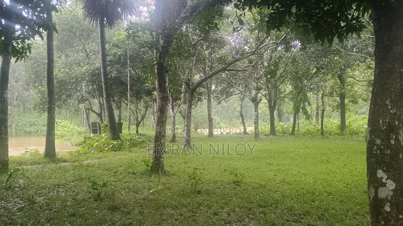 রিসোর্ট এর জন্য জমি বিক্রয়