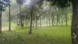 রিসোর্ট এর জন্য জমি বিক্রয়