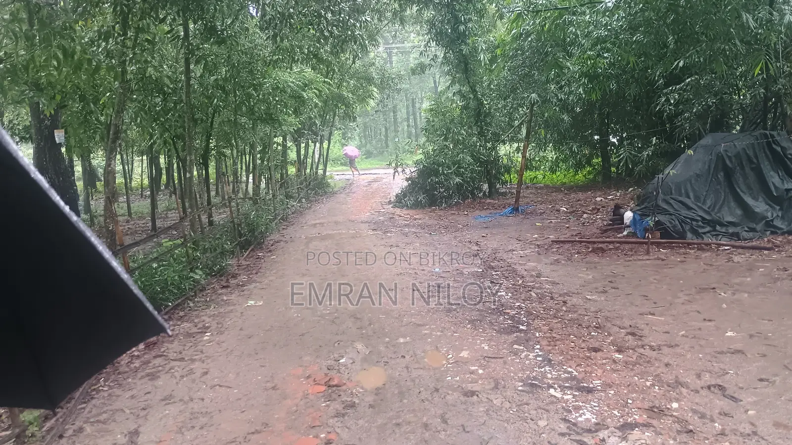 রিসোর্ট এর জন্য জমি বিক্রয়