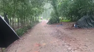 রিসোর্ট এর জন্য জমি বিক্রয়