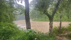 রিসোর্ট এর জন্য জমি বিক্রয়