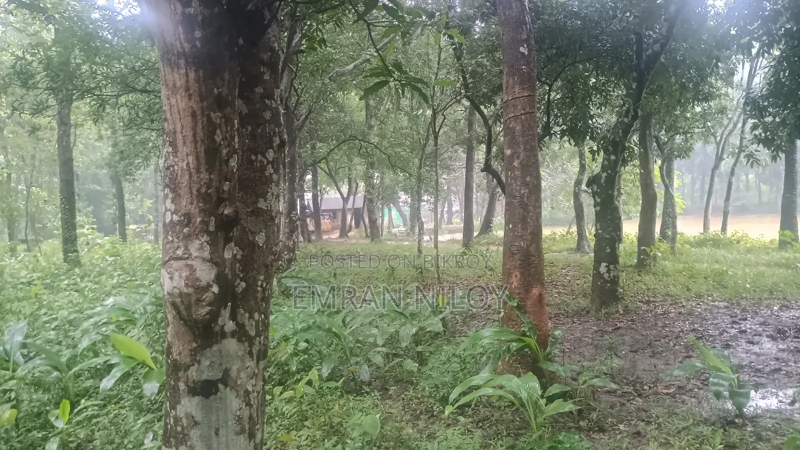 রিসোর্ট এর জন্য জমি বিক্রয়
