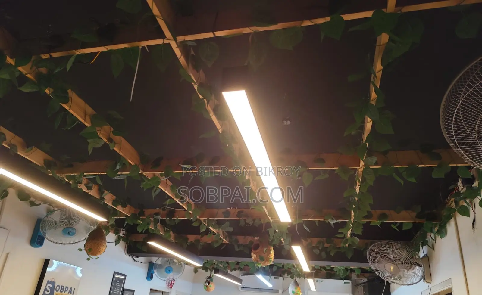 Premium Wooden Ceiling Decor Setup (With Lights Vines)