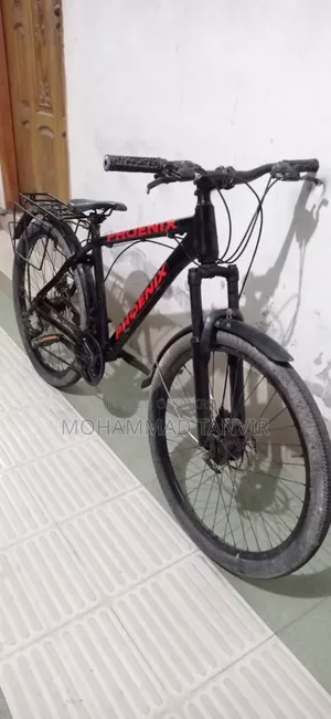 Phoenix Non Gear Cycle