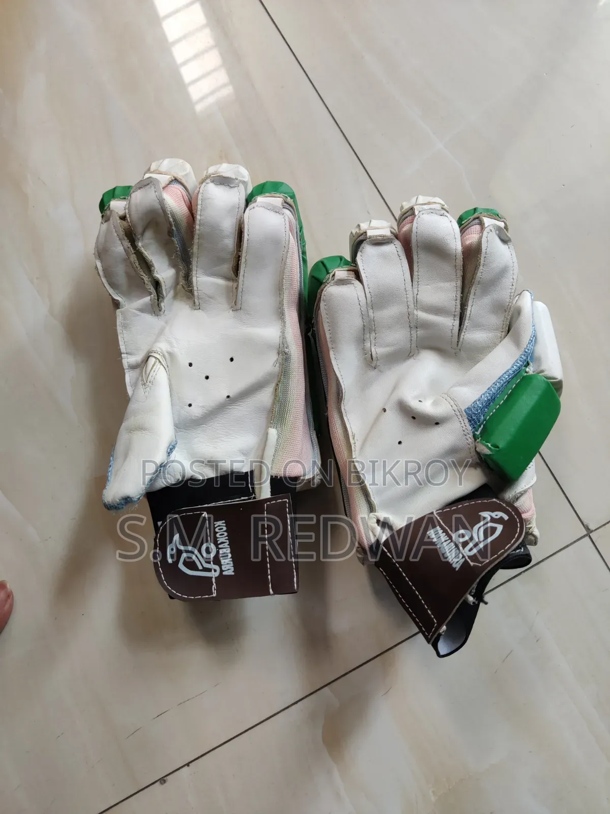 Cricket Ball and Gloves