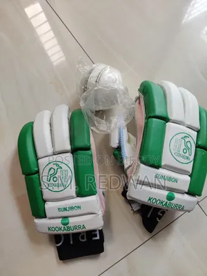 Cricket Ball and Gloves