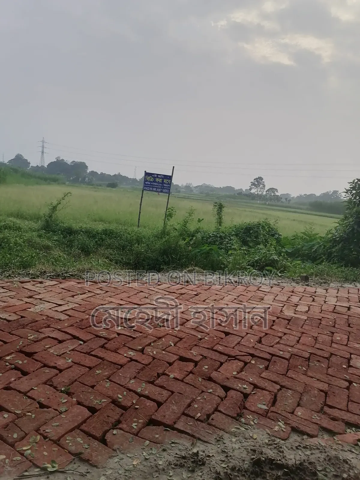 কেরানীগঞ্জের ভিতর আরো বড় জমি লাগলে যোগাযোগ করতে পারেন