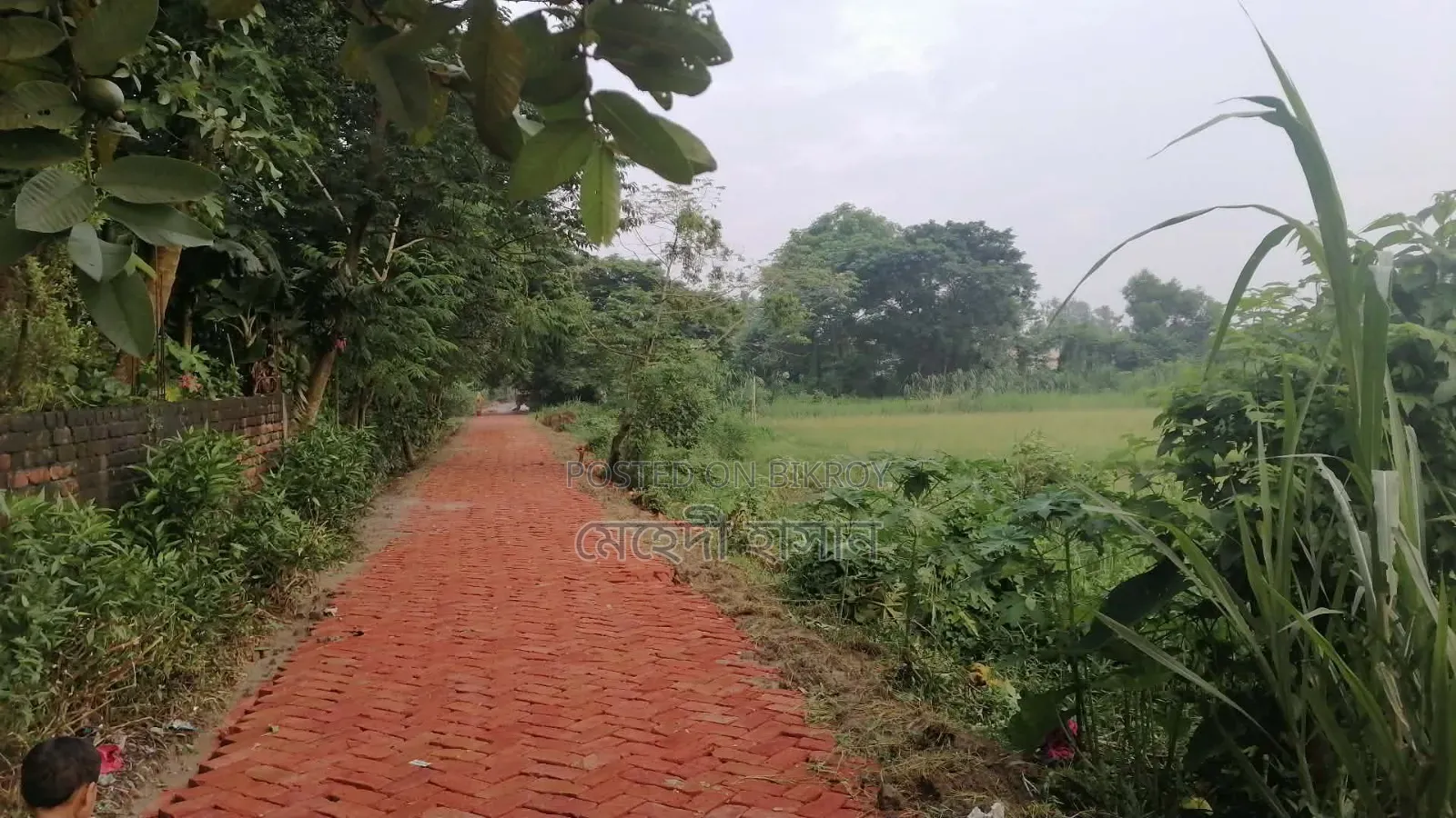 কেরানীগঞ্জের ভিতর আরো বড় জমি লাগলে যোগাযোগ করতে পারেন