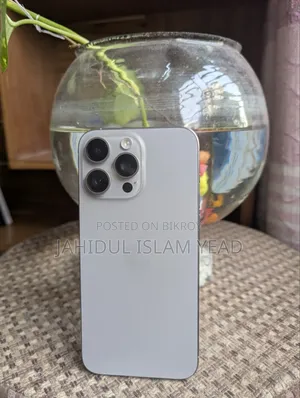 Apple iPhone 15 Pro Max 256 GB Silver